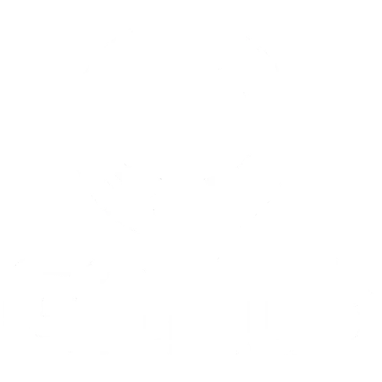 GitHub Recon