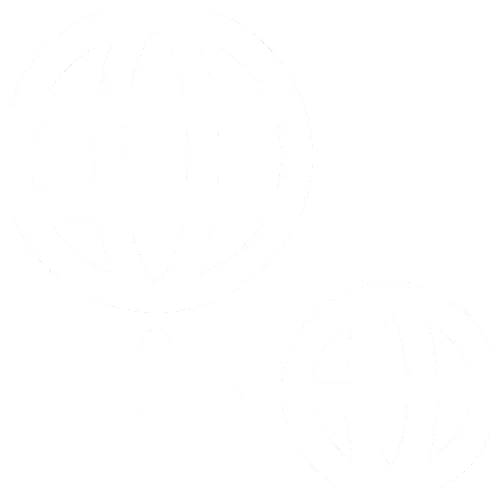 Subdomain Recon