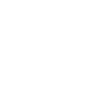 Nuclei logo