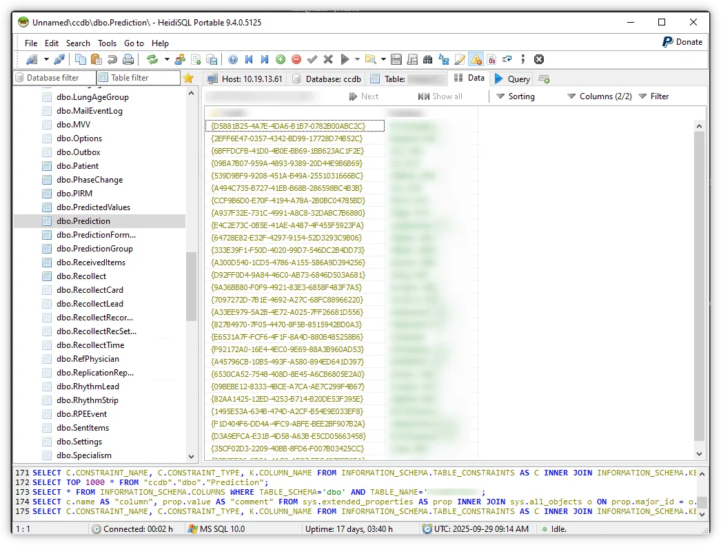 Connecting to the database with HeidiSQL using the discovered credentials
