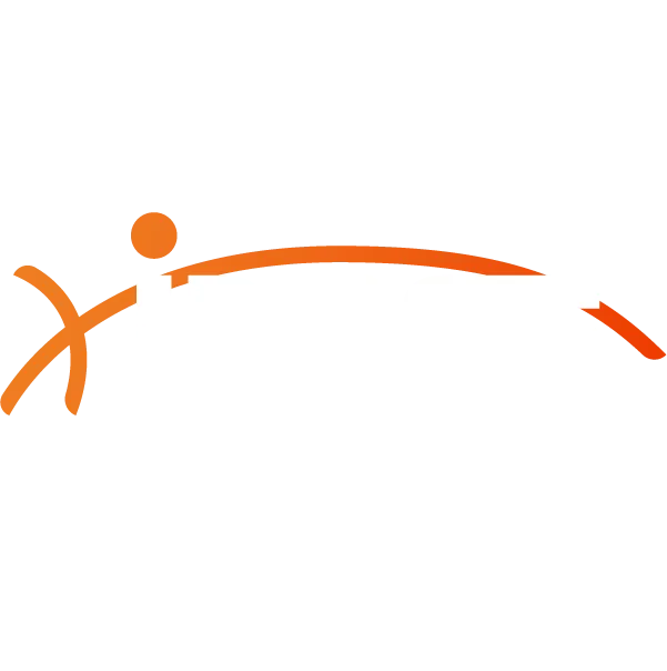 INE Security logo