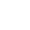 FTP 21 Icon
