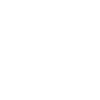 SSH 22 Icon