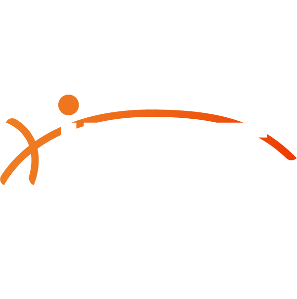 INE Security Logo