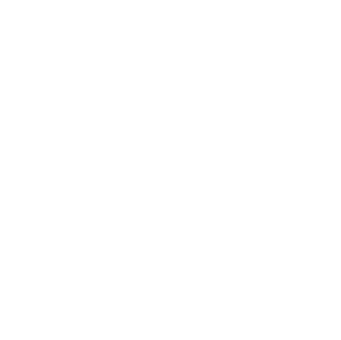 Nuclei Logo